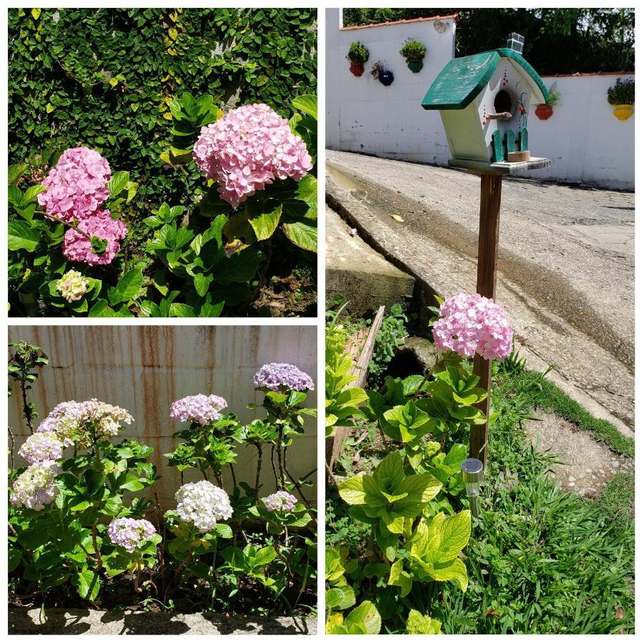 Pousada Das Hortensias Conservatória 외부 사진